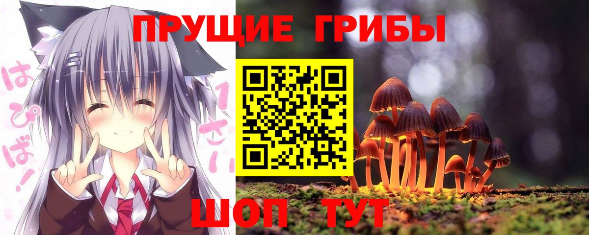 где купить наркоту  Вход с VPN  Рузаевка  Галлюциногенные грибы мицелий 